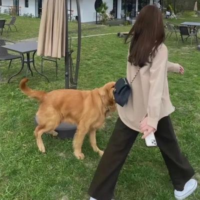 紧迫盯人